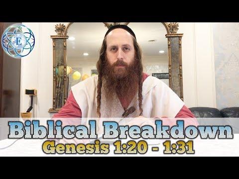 Biblical Breakdown with Rav Dror, Genesis 1:20 - 1:31