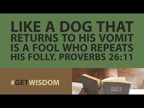 Proverbs | Get Wisdom Proverbs 26:11