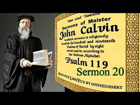 Sermons on Psalm 119:153-160 / Sermon 20 - John Calvin