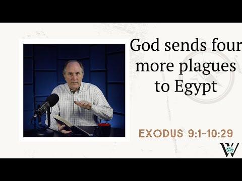 Lesson 41: The Battle Continues (Exodus 9:1-10:29)
