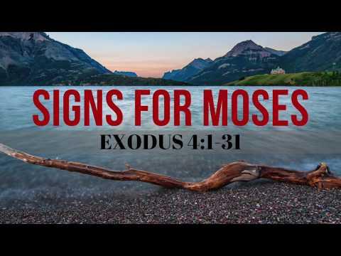 EXODUS 4:1-31 Signs For Moses NIV Female Narration (For Sleep And Relaxation)