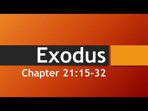 Exodus 21:15-32 : Reading the Bible with Pastor - Ep. 28