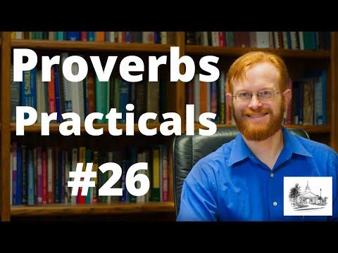 Proverbs Practicals 26 - Proverbs 17:27 -- Careful Speech from a Cool Spirit