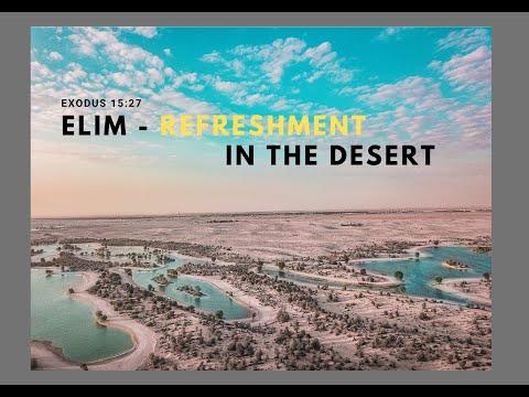 Elim - refreshment in the desert / Exodus 15:27