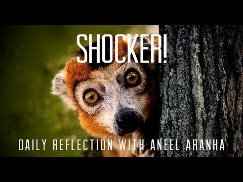 Daily Reflection with Aneel Aranha | Luke 14:25-33 | November 6, 2019
