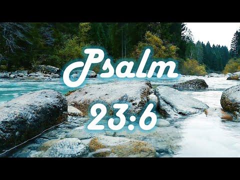 God's Promises | Psalm 23:6 |  My goodness and mercy will chase after you all your life