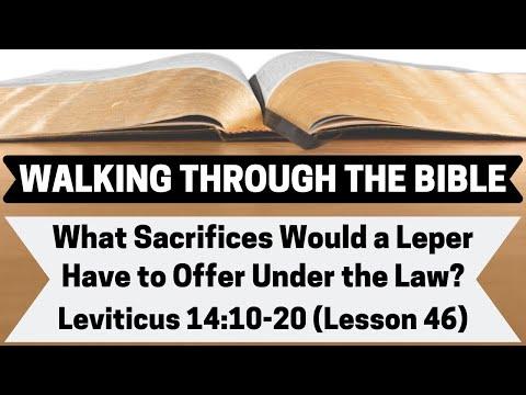 What Sacrifices Would a Leper Have To Offer Under the Law? [Leviticus 14:10-20][Lesson 46][WTTB]
