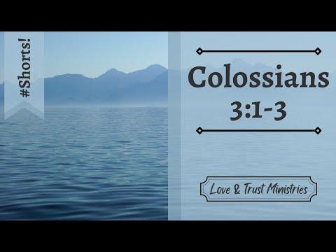 Set Your Mind on Things Above! | Colossians 3:1-3 | July 4th | Rise and Shine Shorts