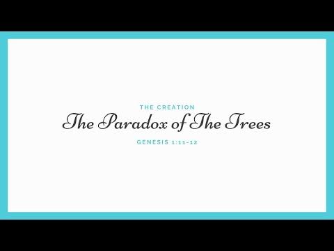 The Paradox of The Trees: Genesis 1:11-12