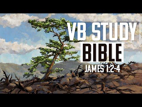 James 1:2-4 | The Video Bible Study Bible