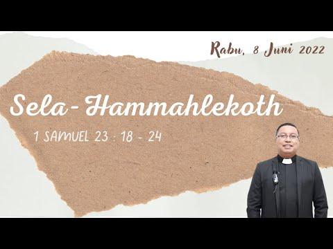 SELA-HAMMAHLEKOTH (1 Samuel 23 : 14 - 28)