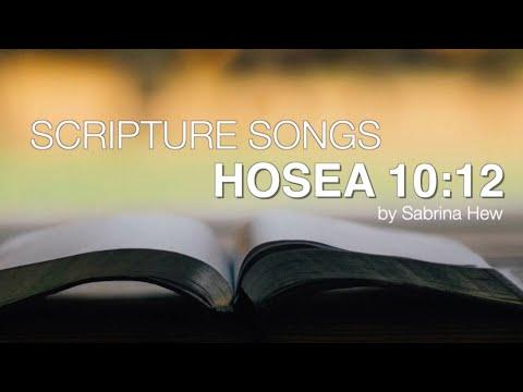 Hosea 10:12 Scripture Songs | Sabrina Hew