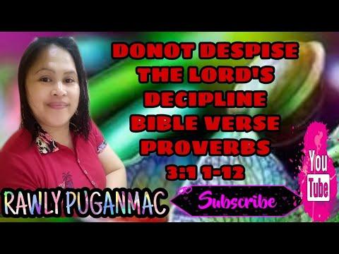 Do not despise the LORD'S decipline (bible verse proverbs 3:11-12)