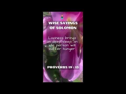 Proverbs 19:15 | NRSV Bible - Wise Sayings of Solomon
