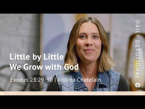 Little by Little We Grow with God | Exodus 23:29–30 | Our Daily Bread Video Devotional