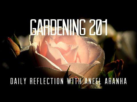 Daily Reflection with Aneel Aranha | Matthew 13:18-23 | July 24, 2020