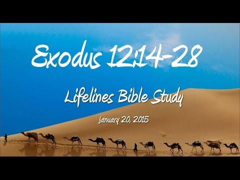 Exodus 12:14-28 Bible Study