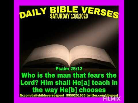 Daily Bible Verses                                                Psalm 25:12