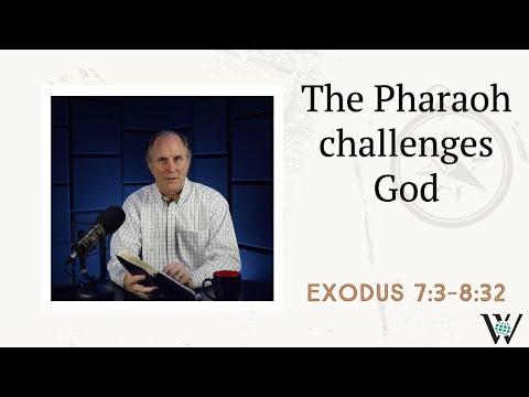 Lesson 40: The Battle of the Gods (Exodus 7:3-8:32)
