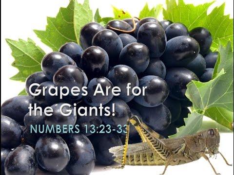 Grapes are For Giants (Numbers 13:23-33) Dr. Ervin C. Jackson