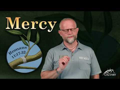 Online Bible Study: "Mercy" | Romans 11:17-32