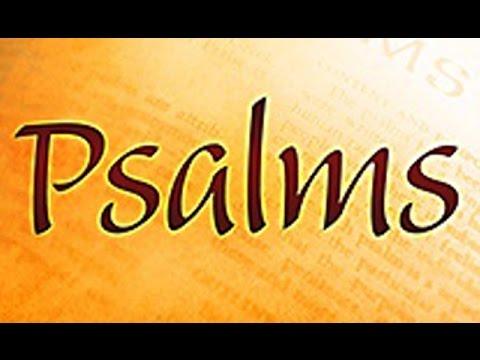 Psalms 8:1-12:4 | Rich Jones