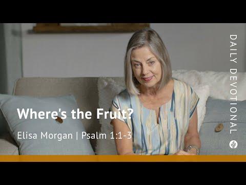 Where’s the Fruit? | Psalm 1:1–3 | Our Daily Bread Video Devotional