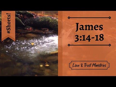 The Peace-Loving Wisdom of God! | James 3:14-18 | November 1st | Rise and Shine Shorts