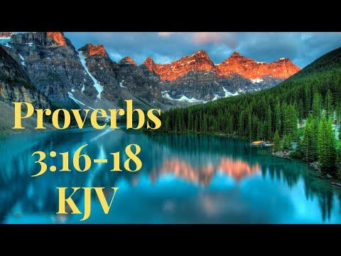 Daily Bible Verse Meditation Proverbs 3:16-18 KJV Scripture on Peace