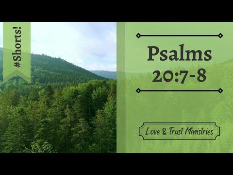Trust in God, Not Earthly Things! | Psalms 20:7-8 | August 9th | Rise and Shine Shorts