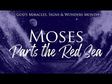 Daily Scripture - Exodus 14:21-31- Moses Parts the Red Sea!