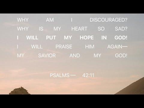 Verse of the day | Psalm 42:11 | five minute devo