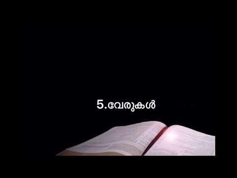 Vachana Yatra|05-വേരുകൾ|Genesis 04:16-5:32|Daily Bible Study|Rev.Anil Joseph.