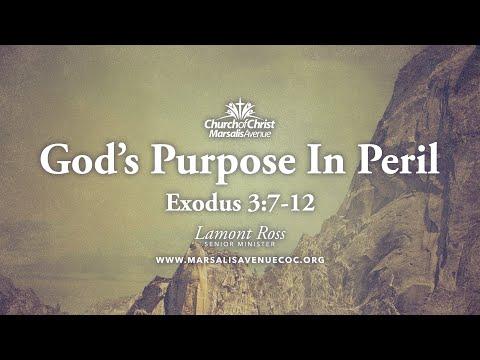 God’s Purpose In Peril - Exodus 3:7-12