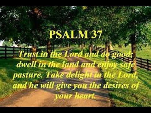 Encouragement from Psalm 37:7