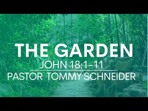 The Garden || John 18:1-11