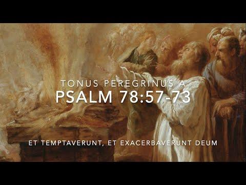 Psalm 78:57-73 – Et temptaverunt, et exacerbaverunt Deum excelsum
