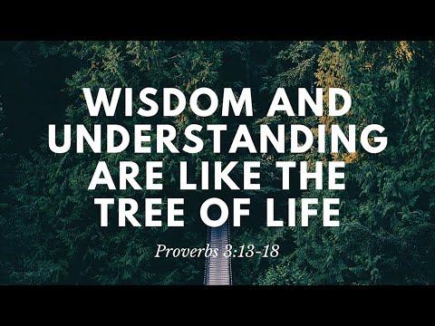 Wisdom and understanding are like the tree of life (Proverbs 3:13-18) | Rev. Andrew Pak