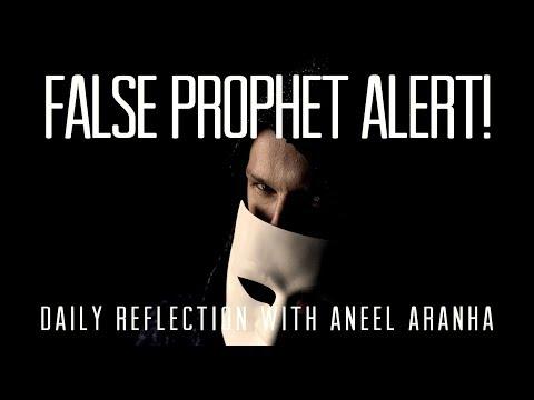 Daily Reflection With Aneel Aranha | Matthew 7:15-20 | June 26, 2019