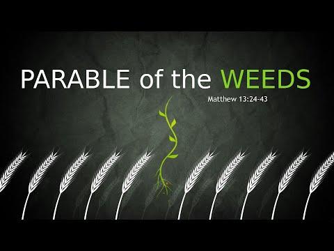PARABLE OF THE WEEDS (Matthew 13:24-43) | Sunday Morning Sermon