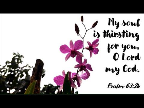 Psalms 63:2, 3-4, 5-6, 8-9|MY SOUL IS THIRSTING FOR YOU, O LORD MY GOD #Psalm63:2b #Verses #YourLove