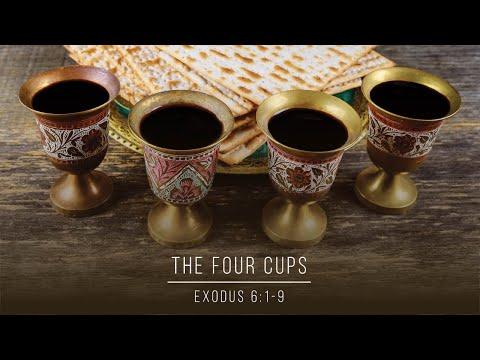 The Four Cups // Exodus 6:1-9