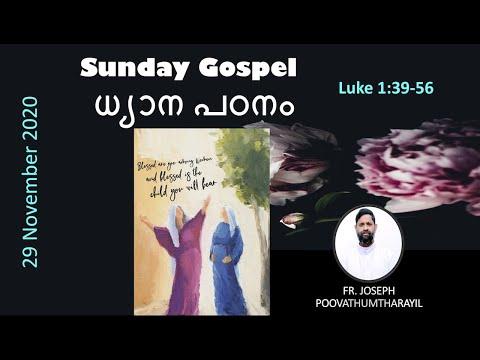 പരിശുദ്ധ മറിയം എലിസബത്തിനെ സന്ദർശിക്കുന്നു | Luke 1:39-56 | Fr. Joseph Poovathumtharayil