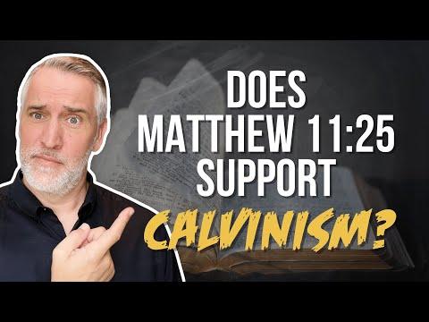 How Do You Interpret Matthew 11:25?