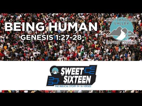 Being Human (Genesis 1:27-28)