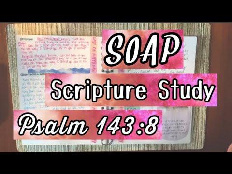 Psalm 143:8 // SOAP Scripture and Bible Study