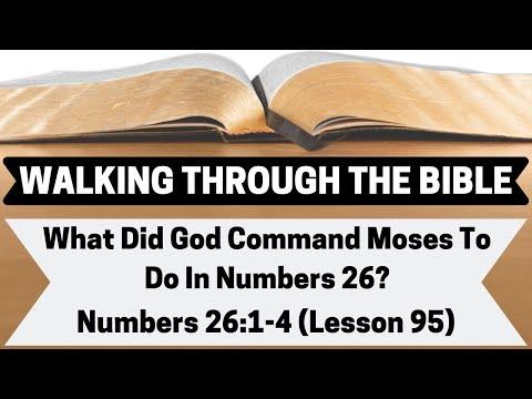 What Did God Command Moses To Do In Numbers 26? [Numbers 26:1-4][Lesson 95][WTTB]