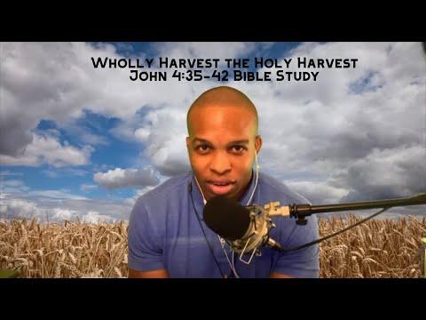 John 4:35-42 Bible Study | “Wholly Harvest the Holy Harvest”