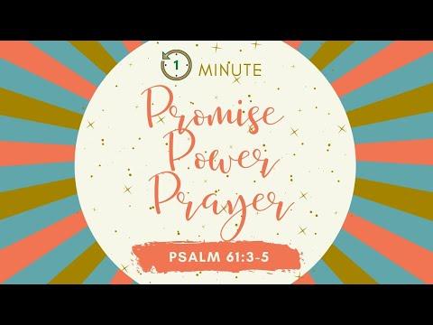 Promise Power Prayer:  Quick Prayers before bed:  Psalm 61:3-5