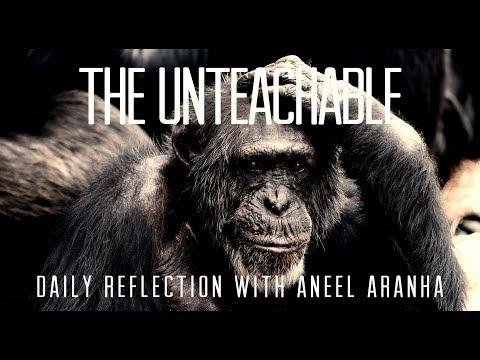 Daily Reflection with Aneel Aranha | Luke 10:21-24 | December 3, 2019